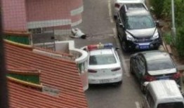 最新爆料涵江动车,揭秘动车组研发背后的故事